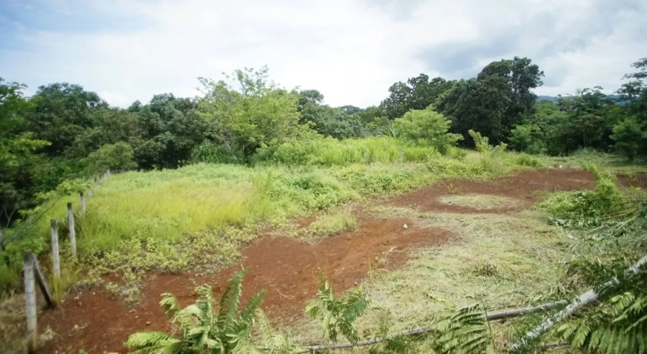 Si busca tranquilidad, espacio y naturaleza, este lote en Santa Eulalia, Atenas, es el lugar ... — photo 5