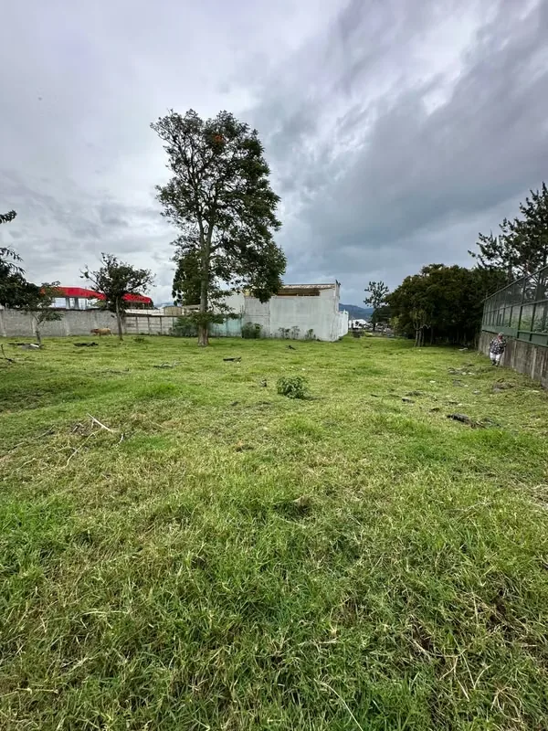 Terreno con uso de suelo mixto en venta, San Nicolás, Cartago! P543