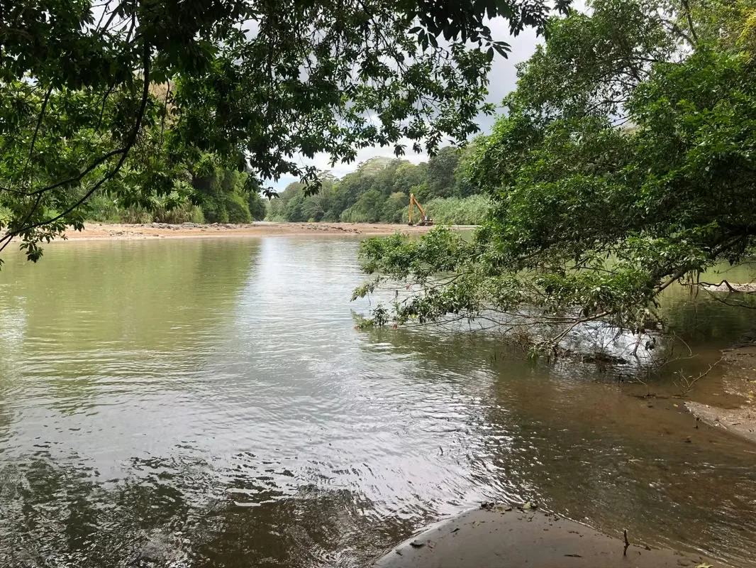 8 Hectares Farm for Sale in San Carlos – River Access – Ideal for Cattle or Eco-Tourism