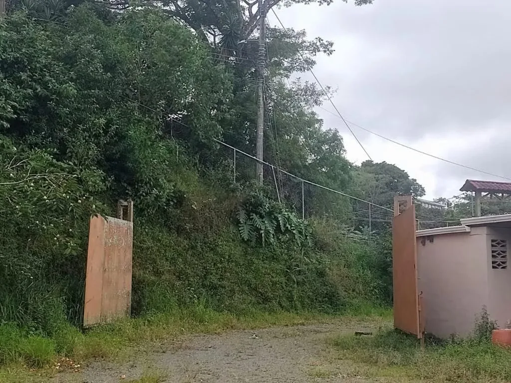 Ubicado frente a la calle principal a Ciudad Colon, con fácil acceso. Ideal para cualquier tipo de proyecto inmobiliario.