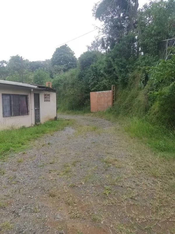 Ubicado frente a la calle principal a Ciudad Colon, con fácil acceso. Ideal para cualquier tipo de proyecto inmobiliario. — photo 4