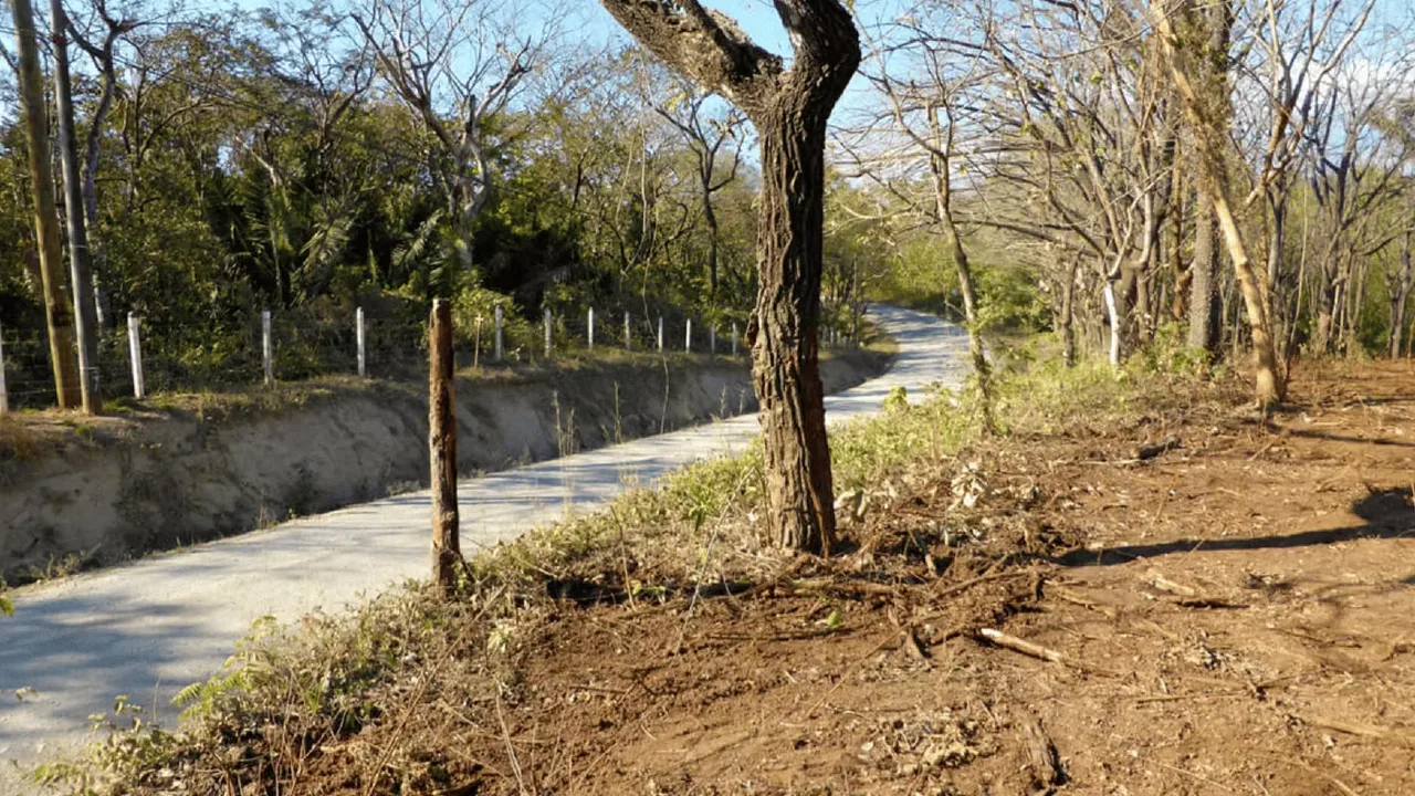 This 8,990 m² (96,768 ft²) corner lot offers 60 meters of direct frontage along Route 160, the main road connecting Ostional and San Juanillo along the coastal corridor. Its corner ...
