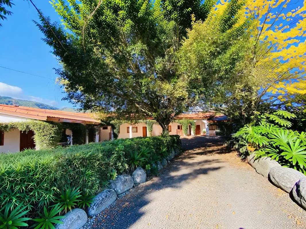 31.95-HECTARE FARM FOR SALE IN OROSI, PARAÍSO, CARTAGO