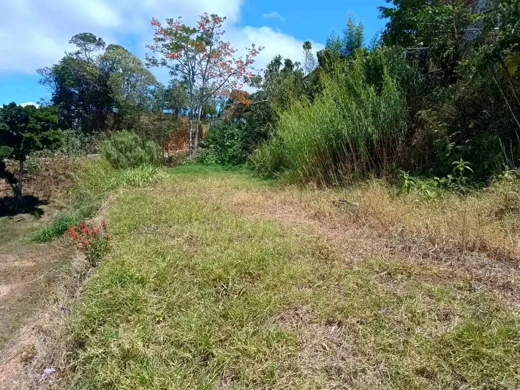 Lote para construcción de vivienda unifamiliar, 400m cuadrados, Servicios disponibles: Agua, Electricidad, Internet, Calle pública. 11m de frente 36m de largo, se financia. Plano ...