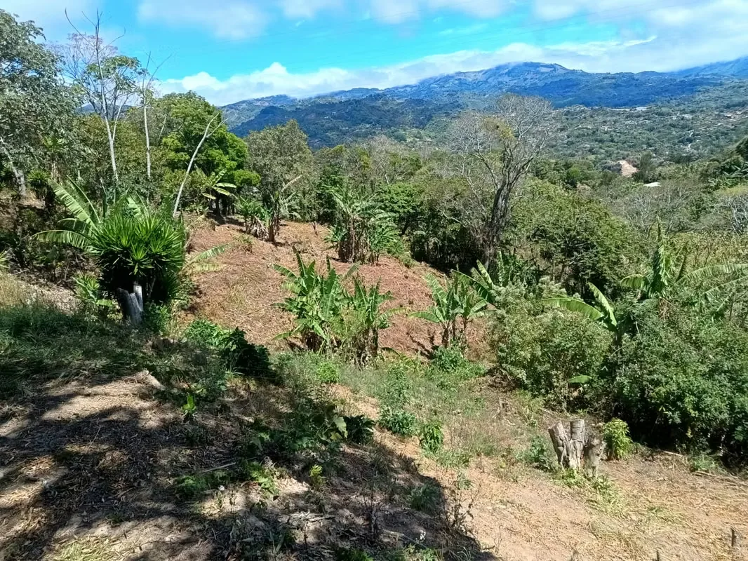 Lote para quinta, 5015m cuadrados, Servicios disponibles: Agua, Electricidad, Internet, Calle pública. Se financia. Plano catastrado, Escritura al día, Libre de gravámenes o ...