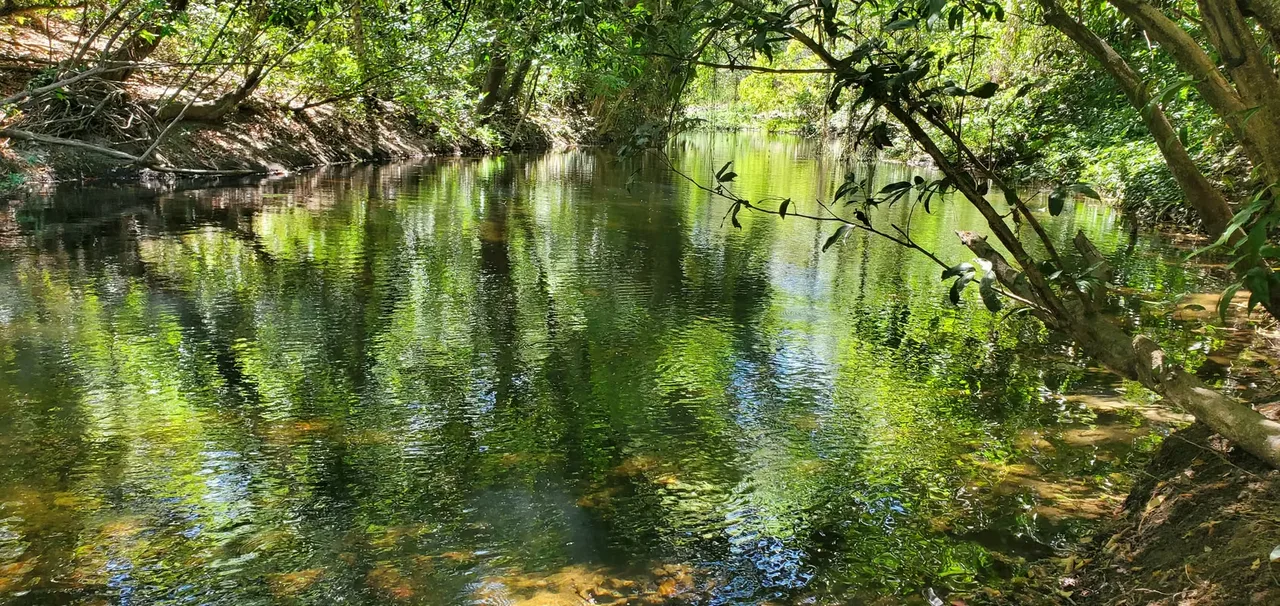 Discover a unique opportunity to own approximately 7 hectares (17.3 acres) of beautiful land in Bagaces, Costa Rica. This property is ideal for individuals, families, entrepreneurs, or ...