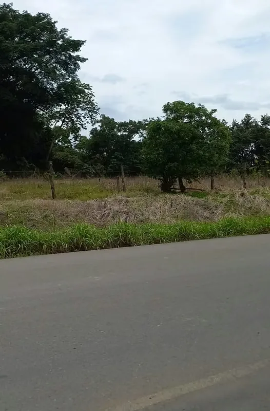 INDUSTRIAL LAND FOR SALE IN EL COYOL DE ALAJUELA
