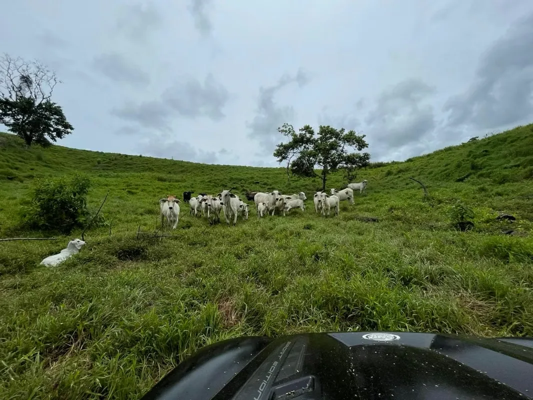 MA Asesorías vende finca en Corazón de Jesús, Sarapiquí de Alajuela