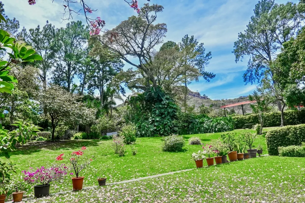 Una propiedad excepcional para quienes buscan amplitud, privacidad y calidad de vida en una de las zonas más privilegiadas del oeste de San José. — photo 2