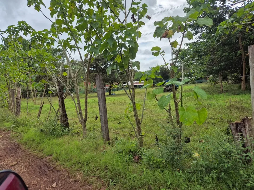 Lot for sale in Jesús María, San Mateo, Alajuela — photo 2