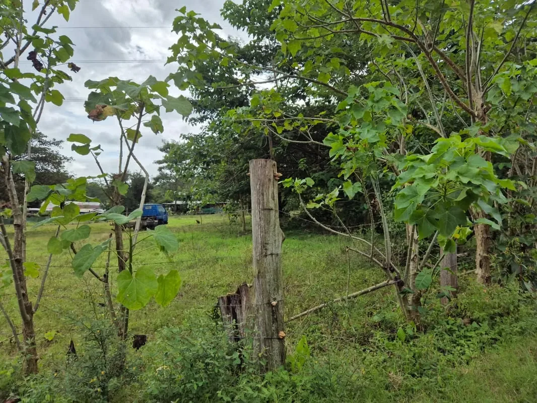 Lot for sale in Jesús María, San Mateo, Alajuela — photo 5