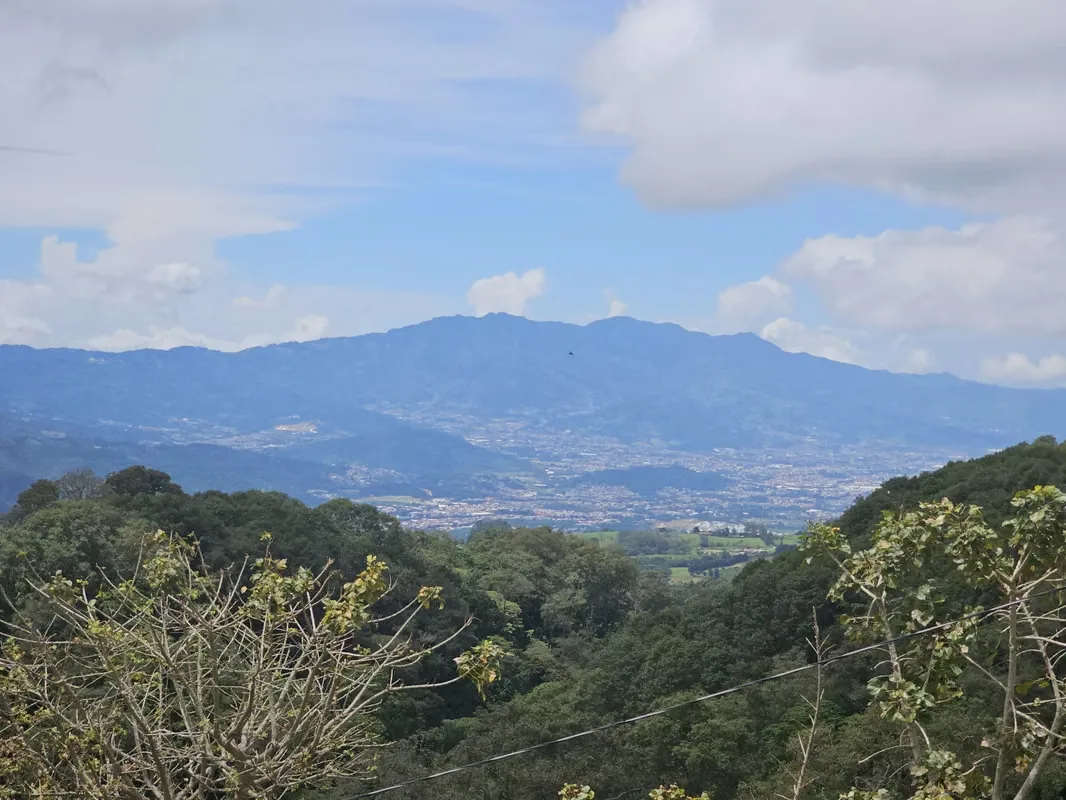 MA Asesorías vende hermosa finca de tierra fértil con cultivo de fresas, zanahorias y recién cultivo de más de 100 ...