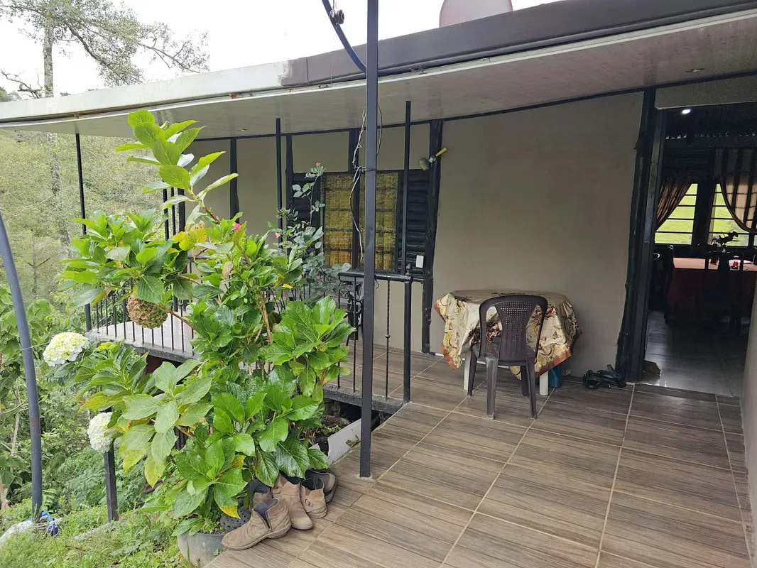 MA Asesorías vende hermosa finca de tierra fértil con cultivo de fresas, zanahorias y recién cultivo de más de 100 ... — photo 3