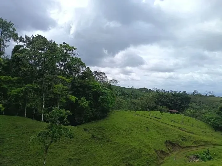 Excepcional propiedad de 6 hectáreas ubicada en la zona alta de La Tigra, cerca de La Fortuna, con impresionantes vistas panorámicas de 180° sobre el Valle de San Carlos.