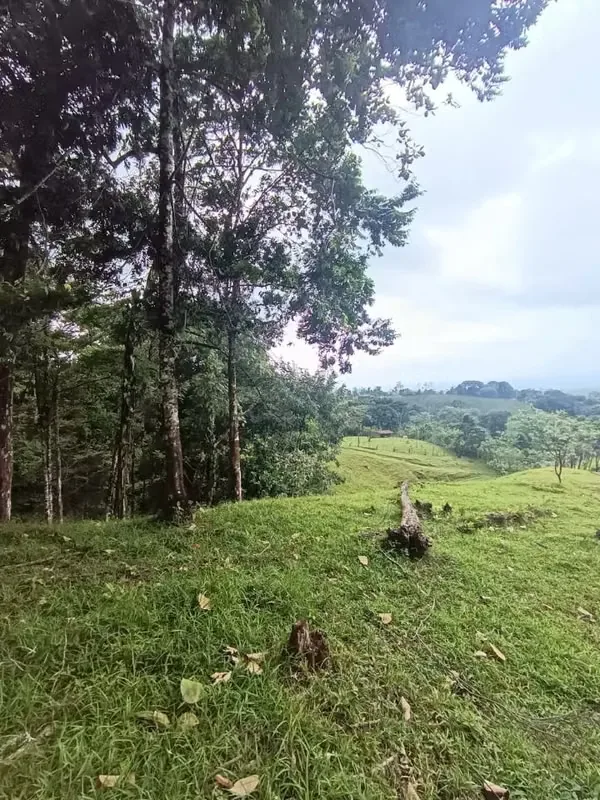 Excepcional propiedad de 6 hectáreas ubicada en la zona alta de La Tigra, cerca de La Fortuna, con impresionantes vistas panorámicas de 180° sobre el Valle de San Carlos. — photo 3