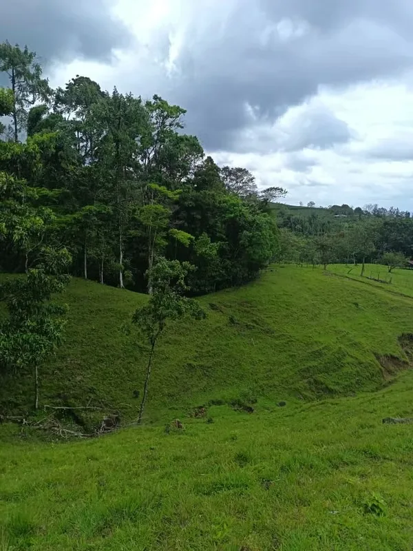 Excepcional propiedad de 6 hectáreas ubicada en la zona alta de La Tigra, cerca de La Fortuna, con impresionantes vistas panorámicas de 180° sobre el Valle de San Carlos. — photo 4