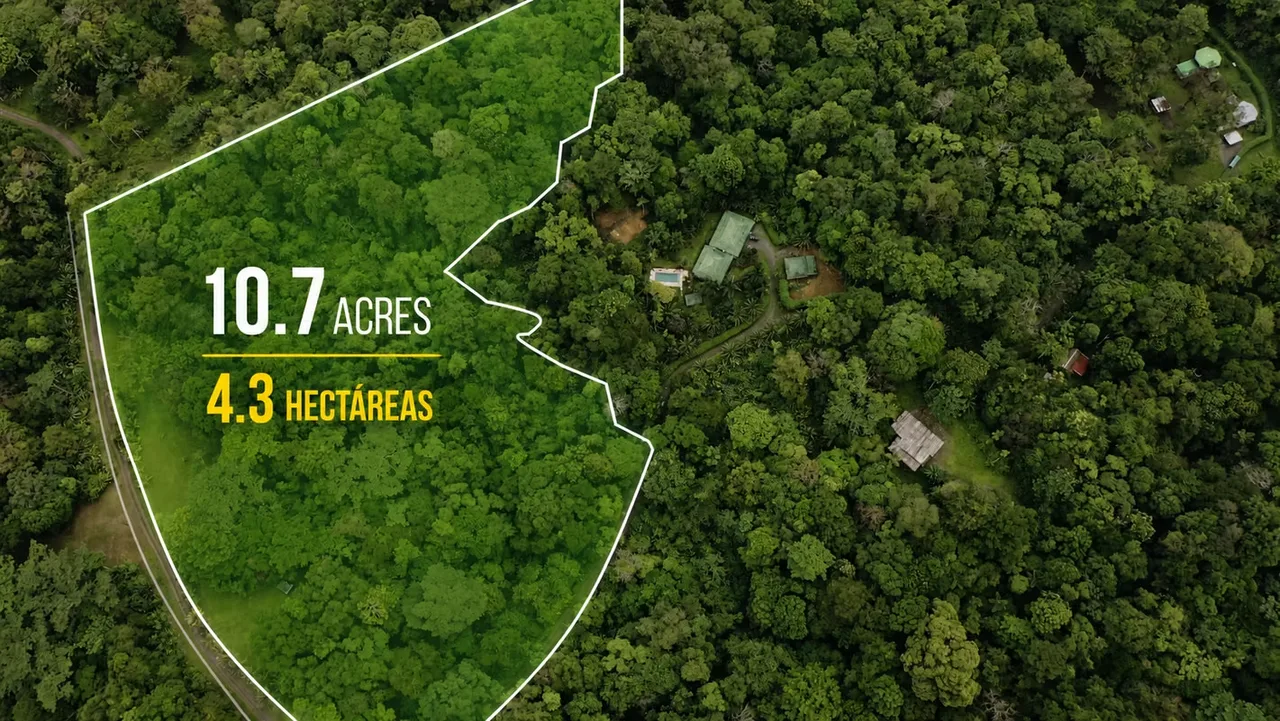 Una oportunidad excepcional para adquirir 4.34 hectáreas (10.7 acres) de selva tropical privada dentro de Selva Encantada, una de las comunidades ecológicas más exclusivas y ...