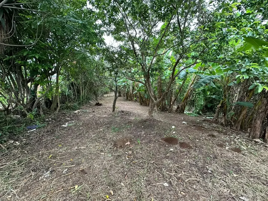 Se venden 2 lotes juntos (no se venden por separado), ubicados uno detrás del otro, en una zona tranquila, segura y de gran ...