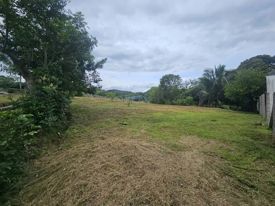 Beautiful lot for sale in San Miguel de Turrucares, 2605m2 — photo 3