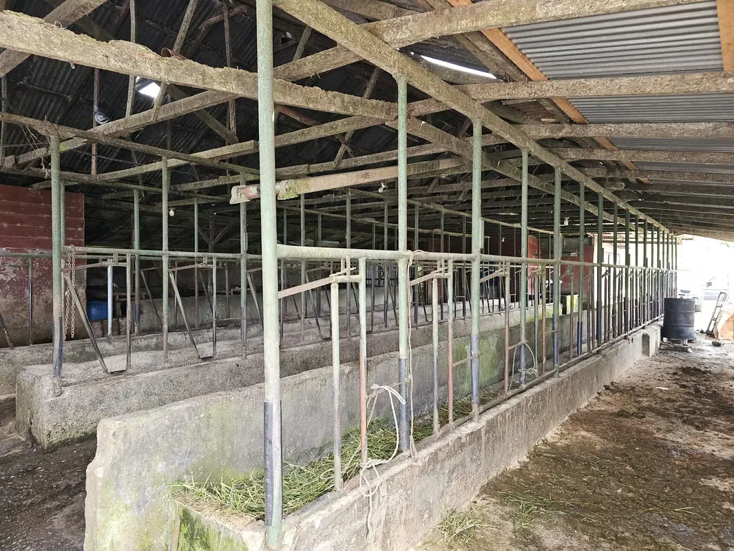 MA Asesorías Vende preciosa finca lechera en San Pedro de Vásquez de Coronado, San José. — photo 2