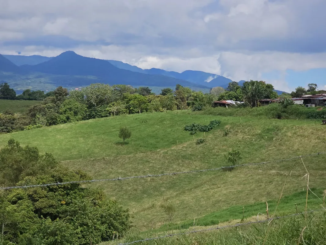 MA Asesorías Vende preciosa finca lechera en San Pedro de Vásquez de Coronado, San José. — photo 4