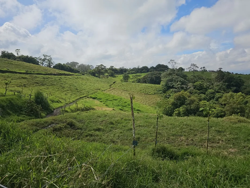 MA Asesorías Vende preciosa finca lechera en San Pedro de Vásquez de Coronado, San José. — photo 5