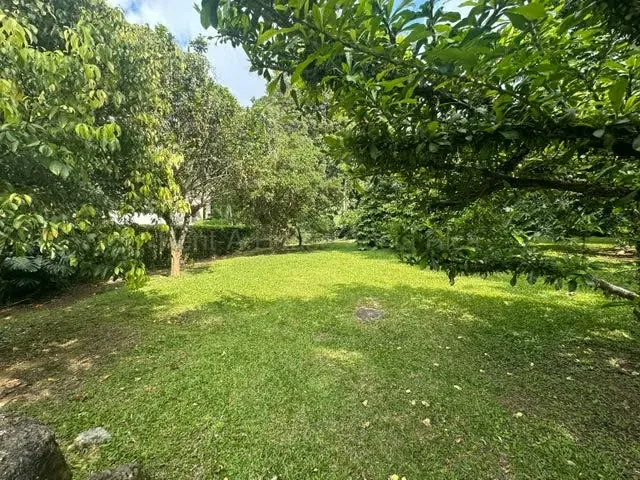 Lote en Venta-Ciudad Colon. 26-2249