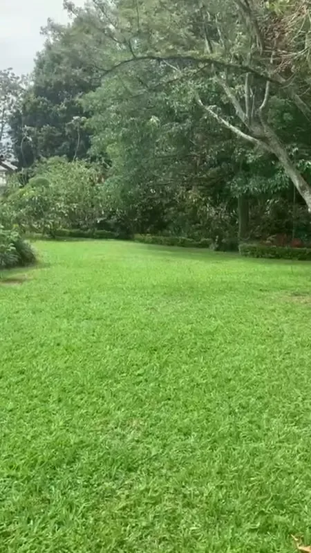 MA Asesorías vende interesante propiedad con Uso de Suelo Comercial ubicada sobre carretera principal de Santa Rosa de Santo Domingo de Heredia. — photo 4