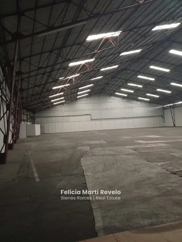RENTAL Warehouse with Loading Dock in TIBÁS Industrial Park — photo 4