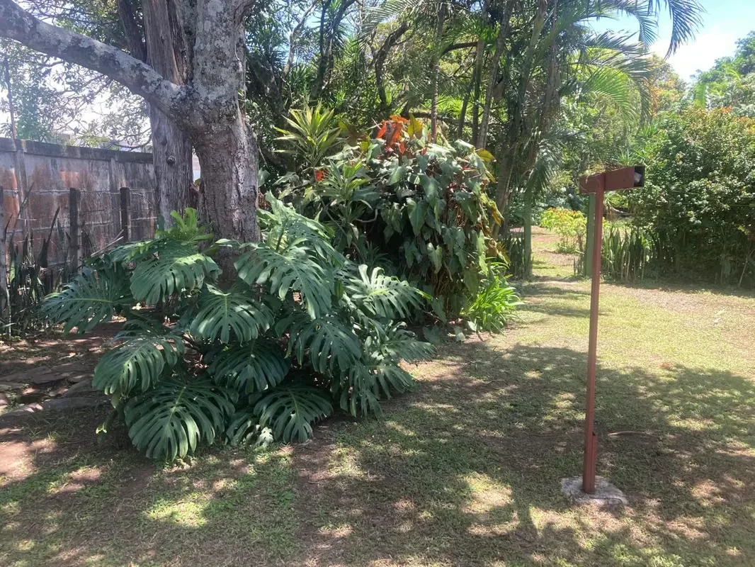 Excelente oportunidad de inversión en Robledal de La Uruca. Terreno totalmente plano de 3.284 m², ubicado en una zona de alta plusvalía, rodeada de condominios y con acceso inmediato ... — photo 3