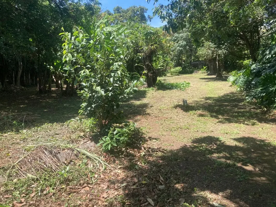 Excelente oportunidad de inversión en Robledal de La Uruca. Terreno totalmente plano de 3.284 m², ubicado en una zona de alta plusvalía, rodeada de condominios y con acceso inmediato ... — photo 4