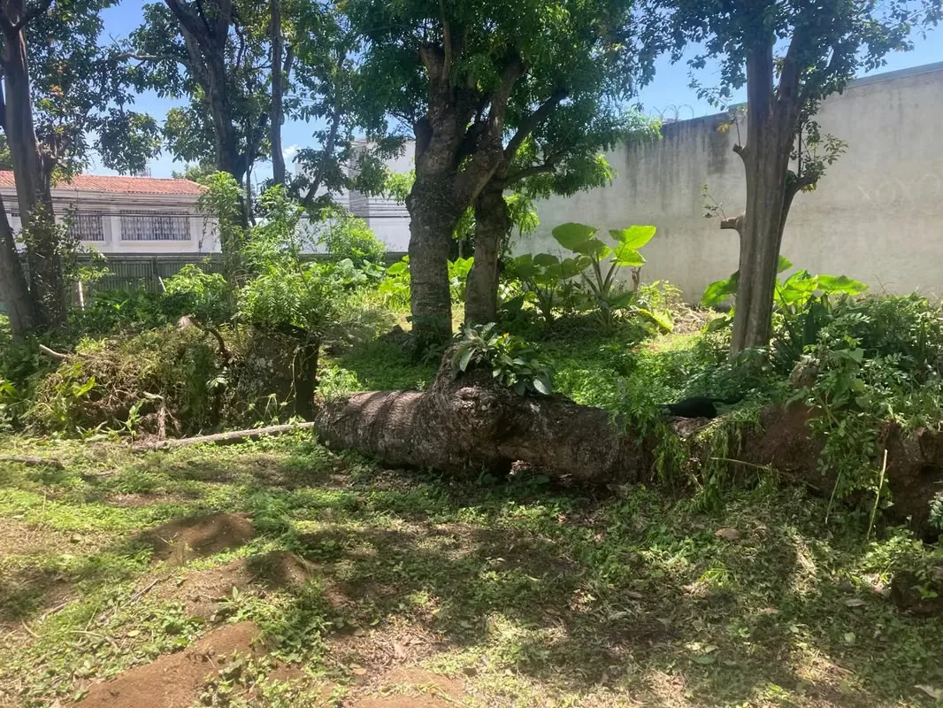 Excelente oportunidad de inversión en Robledal de La Uruca. Terreno totalmente plano de 3.284 m², ubicado en una zona de alta plusvalía, rodeada de condominios y con acceso inmediato ... — photo 5
