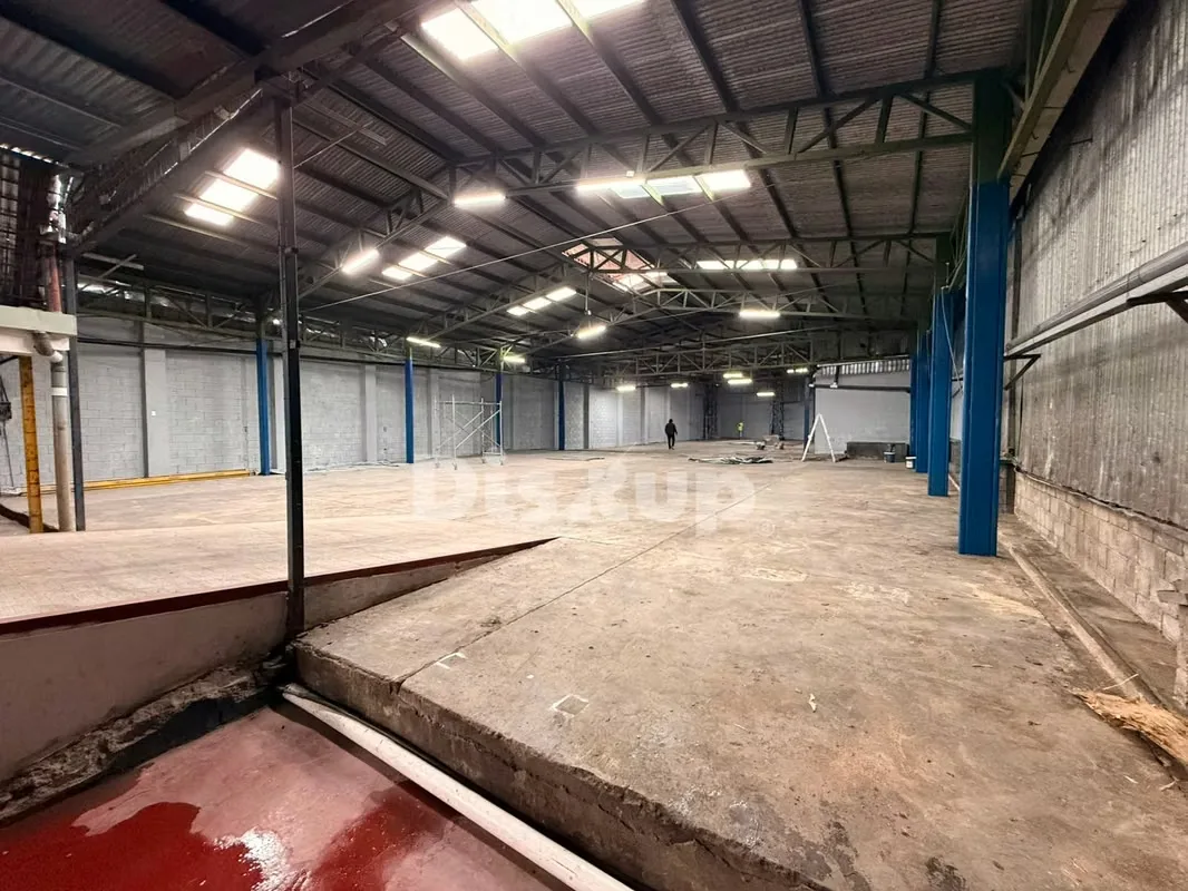 Warehouse for rent with showroom in Tibás. Close to Route 32. — photo 3