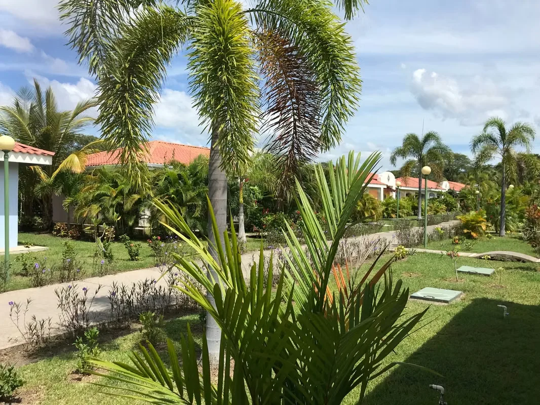 APARTAMENTO IRIS EN ALQUILER PLAYA POTRERO — photo 3