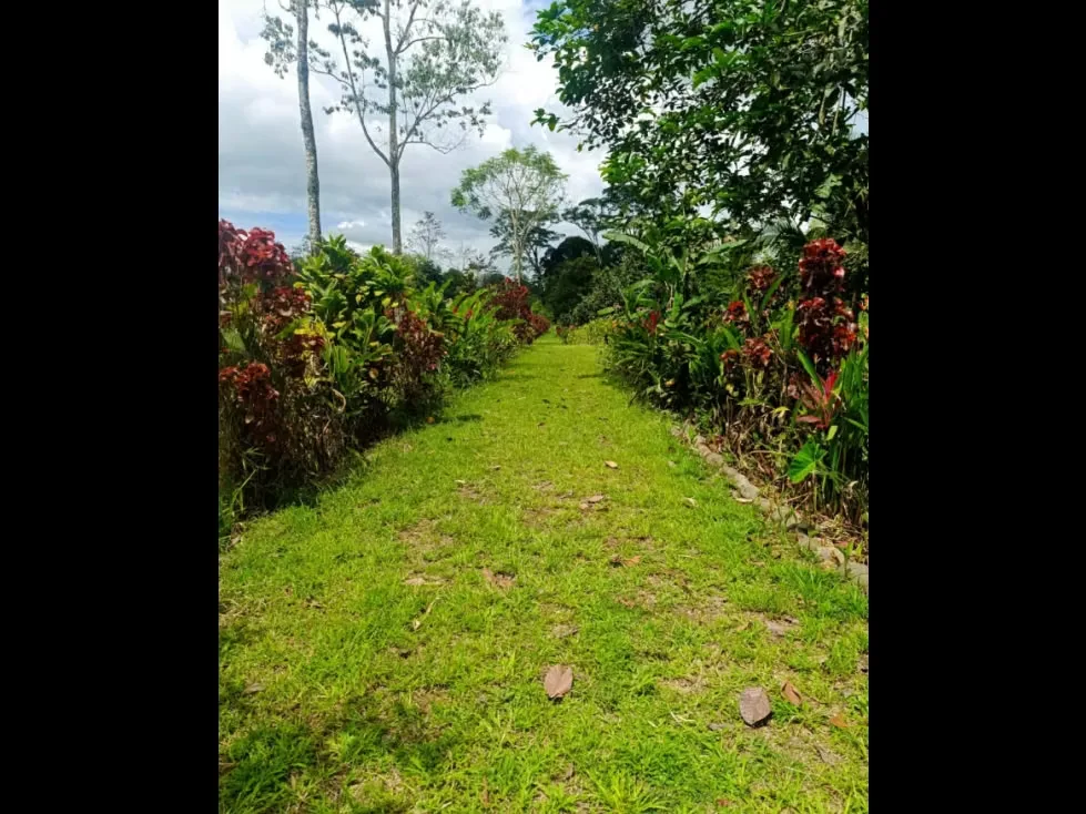 USO DE SUELO DISPONIBLE COMERCIAL Y RESIDENCIAL