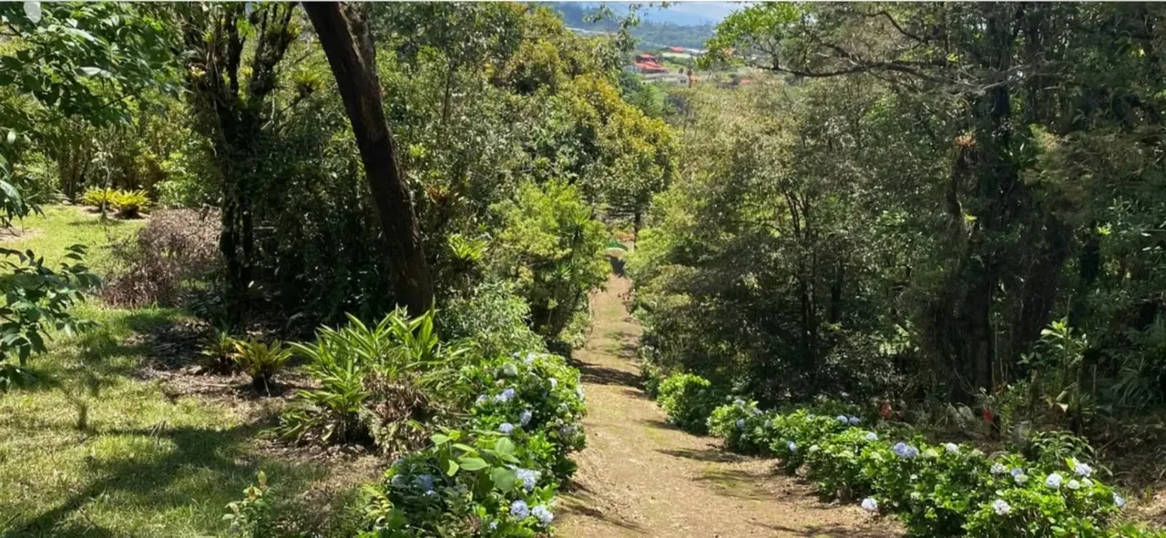 Peace, nature, and expansive green spaces await you at this spectacular 19.1-hectare estate, located in San Isidro del Guarco, Cartago. Ideal for a residence, retirement, or tourism ... — photo 3