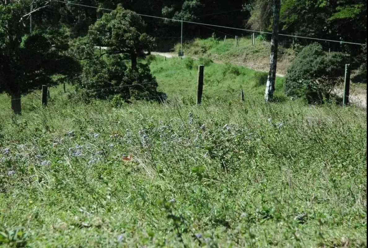 Lor for sale in Monte Verde, Puntarenas