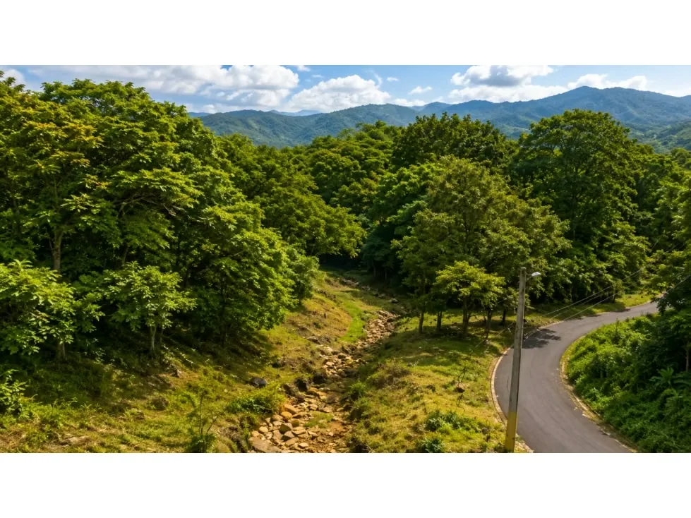 Te presento este increíble terreno en Turrubares, provincia de San José, ideal para aquellos que buscan invertir en un sitio tranquilo y rodeado de naturaleza. Con un área total de ...
