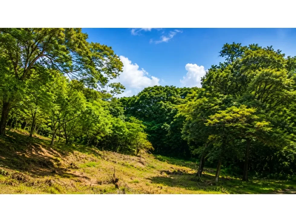 Te presento este increíble terreno en Turrubares, provincia de San José, ideal para aquellos que buscan invertir en un sitio tranquilo y rodeado de naturaleza. Con un área total de ... — photo 3