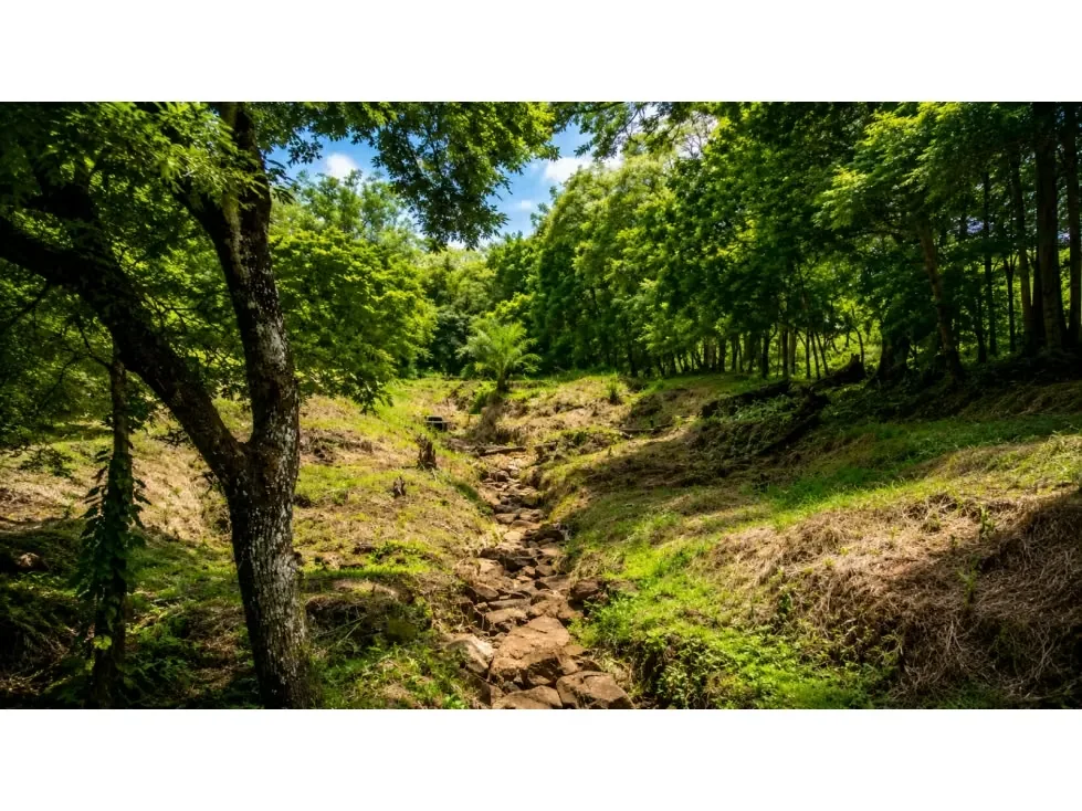 Te presento este increíble terreno en Turrubares, provincia de San José, ideal para aquellos que buscan invertir en un sitio tranquilo y rodeado de naturaleza. Con un área total de ... — photo 5
