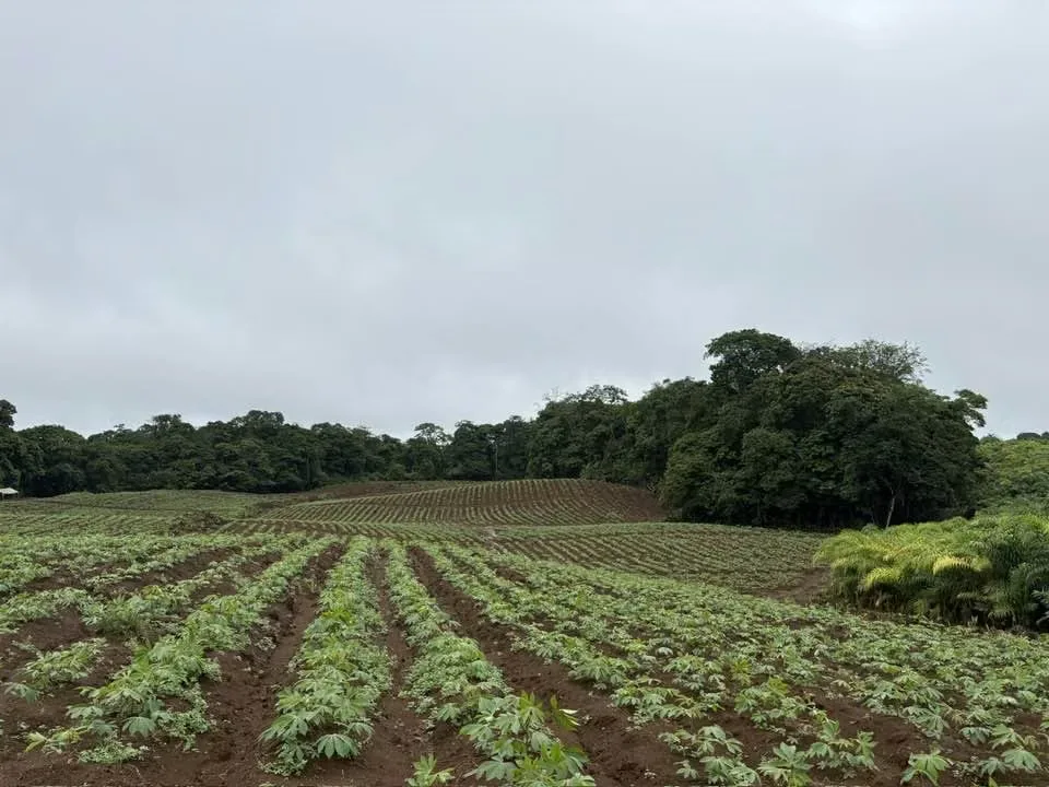 ¡EXCELENTE FINCA EN PRODUCCION EN VENTA EN SANTA RITA DE RIO CUARTO!