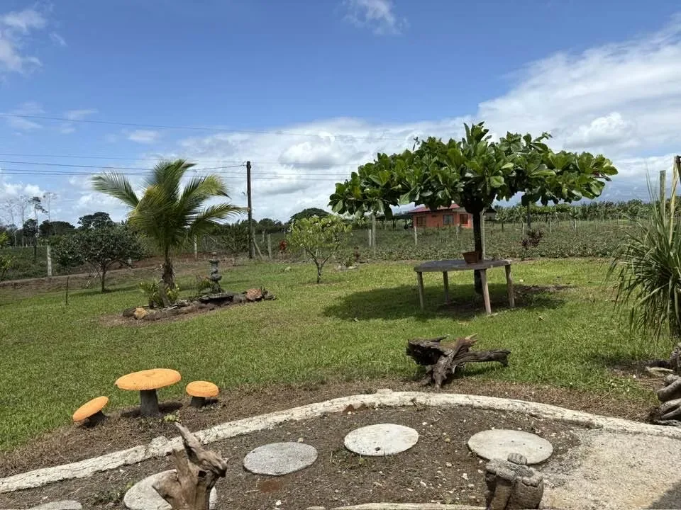 Si sueña con vivir rodeado de naturaleza, tranquilidad y amplios espacios, esta propiedad es para usted.