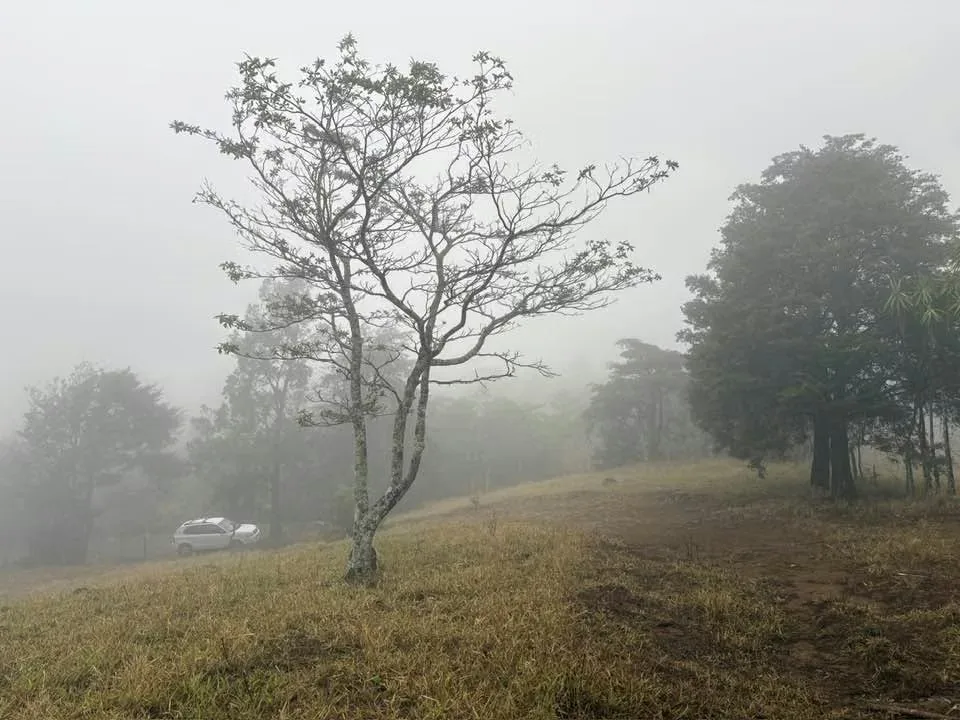 ¡HERMOSO TERRENO EN VENTA, QUEBRADILLAS, PIEDADES SUR, SAN RAMÓN, ALAJUELA — photo 2