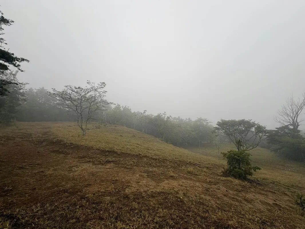 ¡HERMOSO TERRENO EN VENTA, QUEBRADILLAS, PIEDADES SUR, SAN RAMÓN, ALAJUELA — photo 3