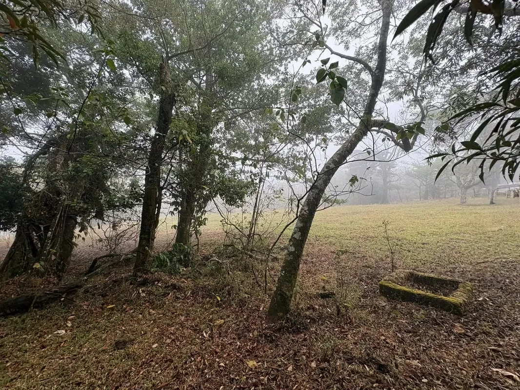 ¡HERMOSO TERRENO EN VENTA, QUEBRADILLAS, PIEDADES SUR, SAN RAMÓN, ALAJUELA — photo 4