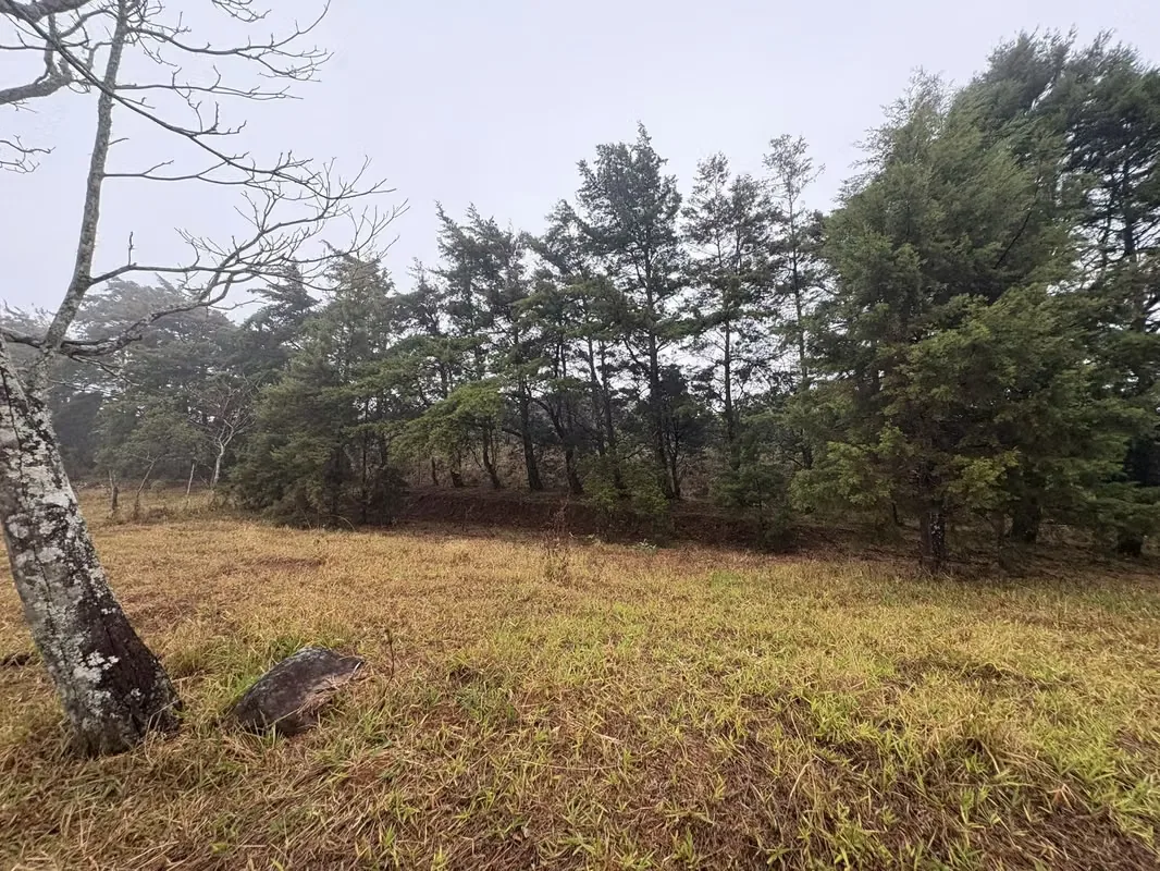 ¡HERMOSO TERRENO EN VENTA, QUEBRADILLAS, PIEDADES SUR, SAN RAMÓN, ALAJUELA — photo 5