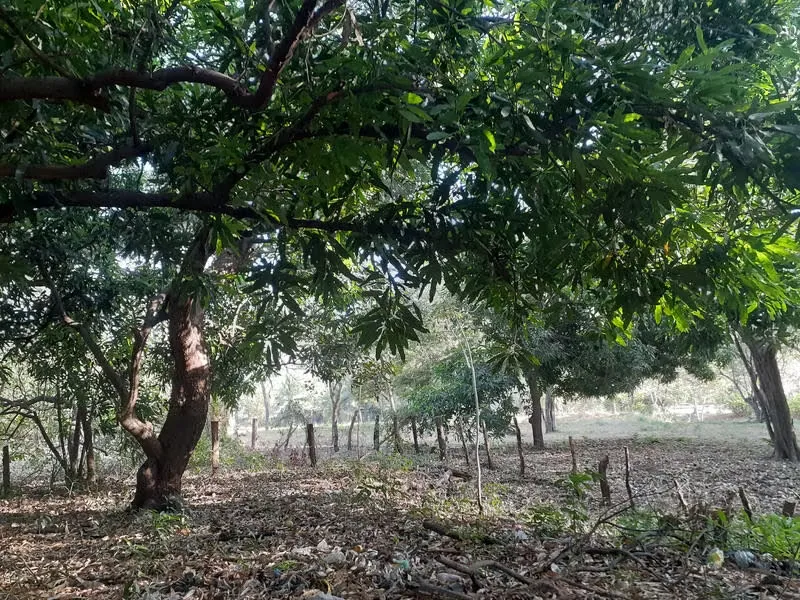 3495sqm land for sale in Playas del Coco