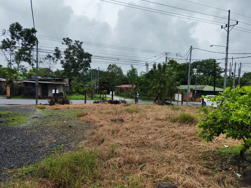 Se lote en venta se ubica en Guápiles limón distrito Se lote en venta se ubica en Se encuentra totalmente al día con los impuestos municipales y no posee gravámenes ni judiciales ni ... — photo 2