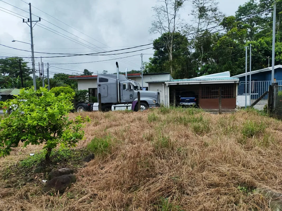 Se lote en venta se ubica en Guápiles limón distrito Se lote en venta se ubica en Se encuentra totalmente al día con los impuestos municipales y no posee gravámenes ni judiciales ni ... — photo 3