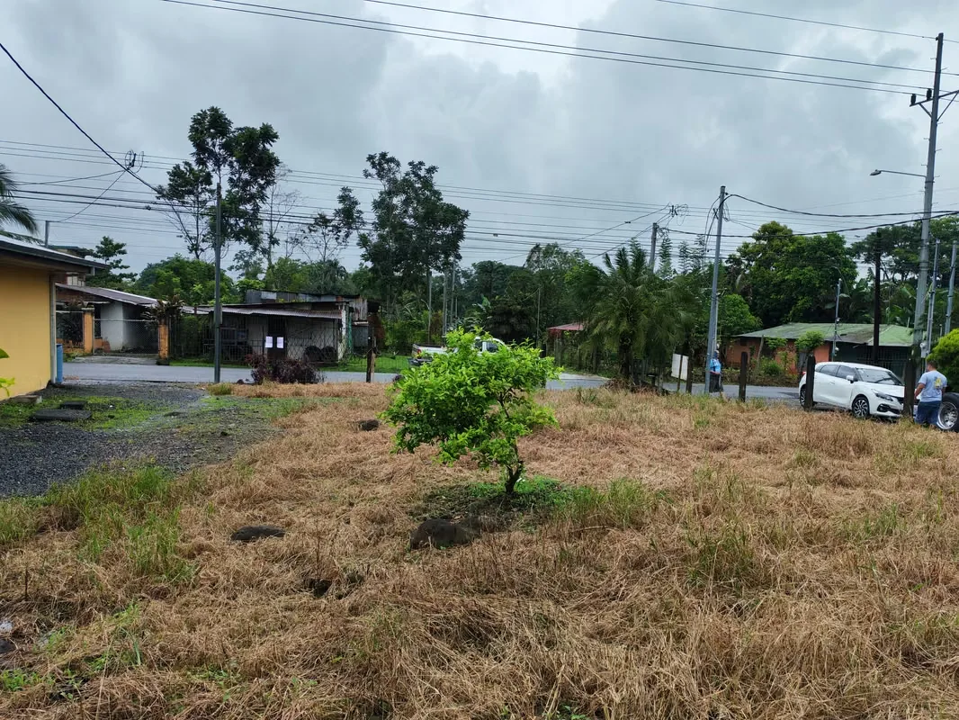 Se lote en venta se ubica en Guápiles limón distrito Se lote en venta se ubica en Se encuentra totalmente al día con los impuestos municipales y no posee gravámenes ni judiciales ni ... — photo 4
